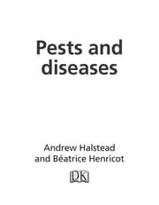 Tapa de Pests and diseases