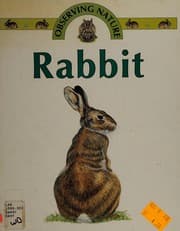 Tapa de Rabbit