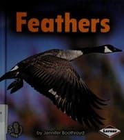 Tapa de Feathers