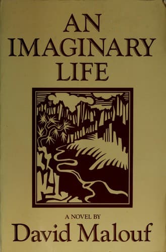Tapa de An Imaginary Life