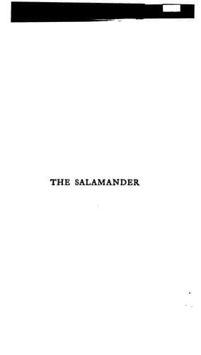 Tapa de The salamander