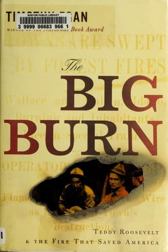 Tapa de The big burn