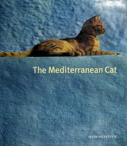 Tapa de The Mediterranean cat