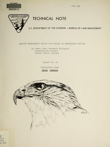 Tapa de Ferruginous hawk, Buteo regalis