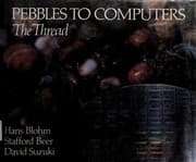 Tapa de Pebbles to computers