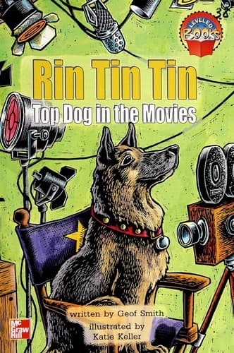 Tapa de Rin Tin Tin