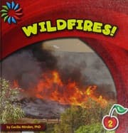 Tapa de Wildfires!