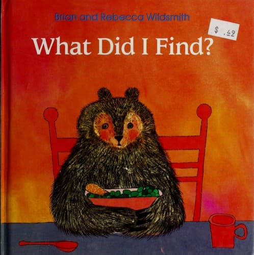 Tapa de What did I find?