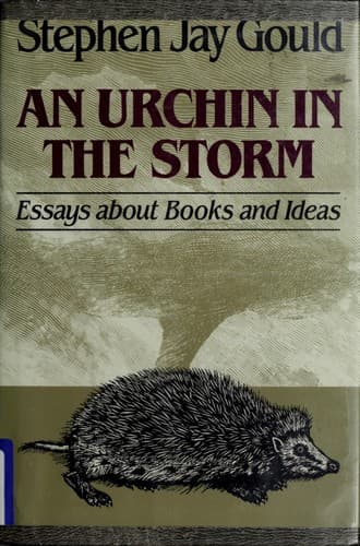 Tapa de An urchin in the storm