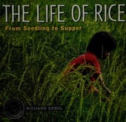 Tapa de The life of rice
