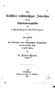Tapa de Die Kollision rechtmässiger Interessen und die Schadenersatzpflicht bei ..
