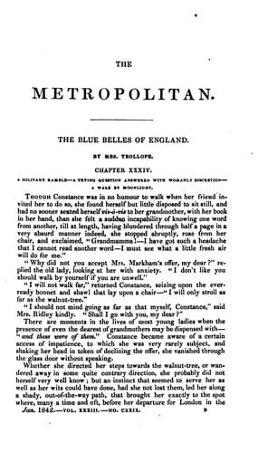 Tapa de the metropolitan