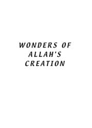 Tapa de Wonders of Allah's Creation