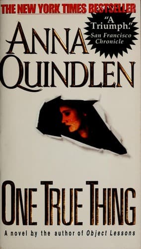 Tapa de One true thing