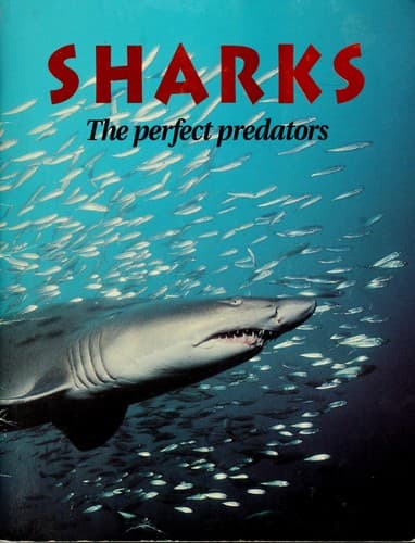 Tapa de Sharks
