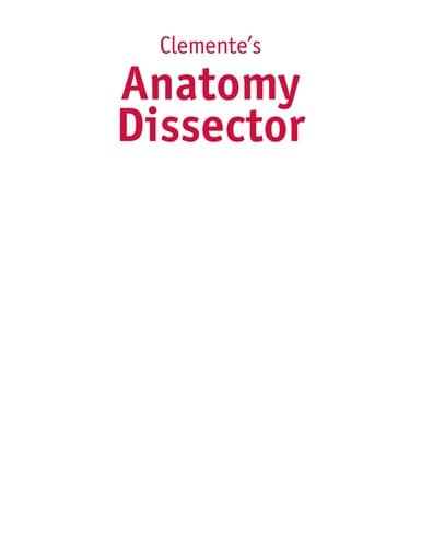 Tapa de Clemente's anatomy dissector