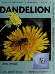 Tapa de Dandelion