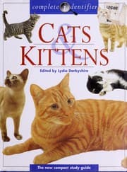 Tapa de Cats & Kittens
