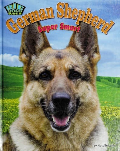 Tapa de German shepherd