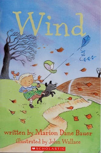 Tapa de Wind