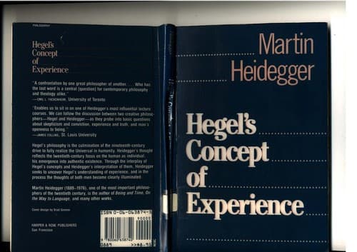 Tapa de Hegels Begriff der Erfahrung