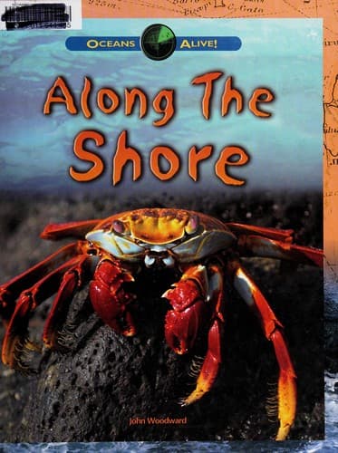 Tapa de Along the shore